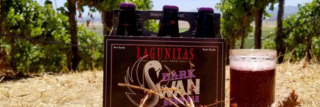 Box with Dark Swan Sour Ale