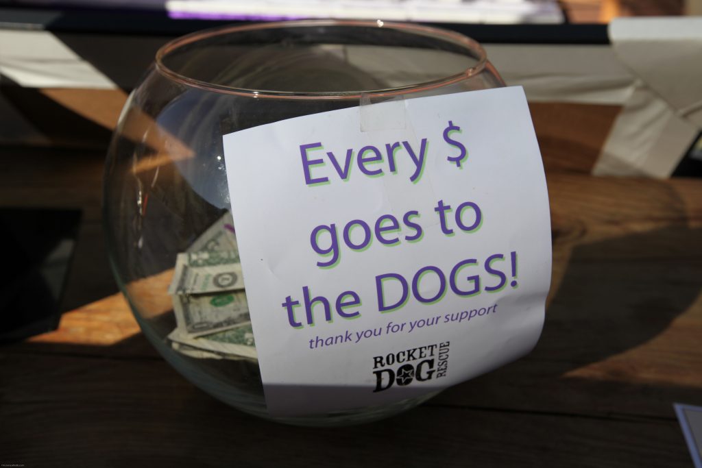 Every $ goes to the dogs